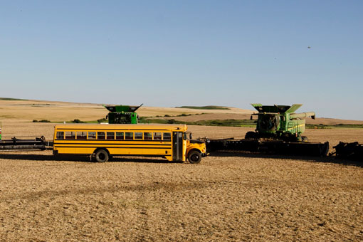 agricultura